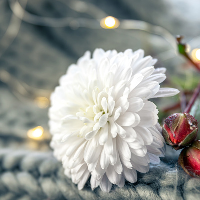 Что важно сделать в первый день нового года?