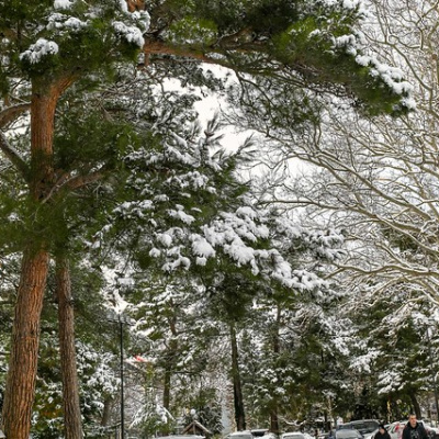 В ГОДОВЩИНУ СО ДНЯ КОНЧИНЫ ЕПИСКОПА ВИКТОРА (ПЬЯНКОВА) ЕПИСКОП СЕРГИЙ