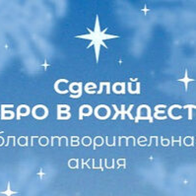 Завершилась церковная благотворительная акция «Добро в Рождество»