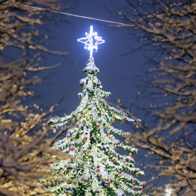 Накануне Рождества: что нужно знать о  сочельнике