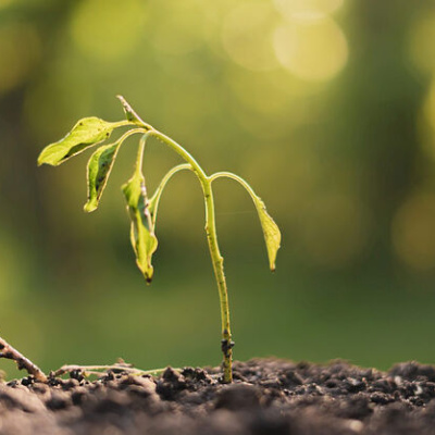 Если вера не растет, она умирает. Почему люди отходят от Церкви, и можно ли с этим что-то сделать