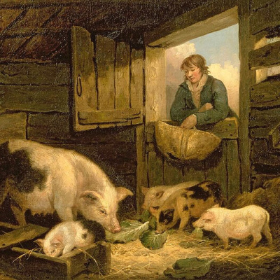 Свинья или вечность?