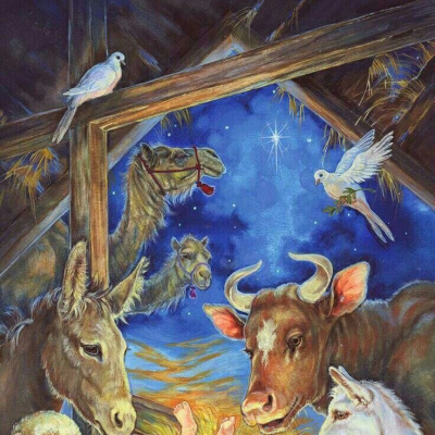 Рождественская история глазами животных