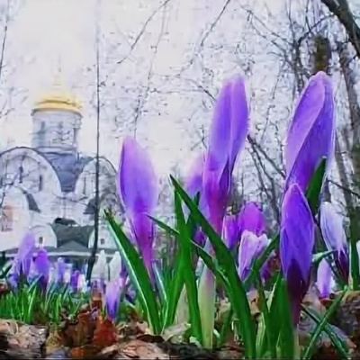 Православный календарь: март 2026 года