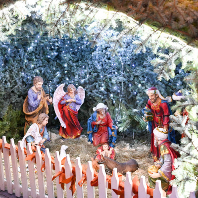 НЕДЕЛЯ 30-Я ПО ПЯТИДЕСЯТНИЦЕ, ПЕРЕД РОЖДЕСТВОМ ХРИСТОВЫМ