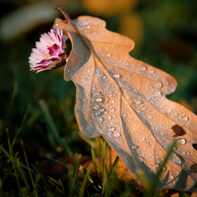 26 сентября — «Осенняя Пасха»: что празднует Церковь в этот день?