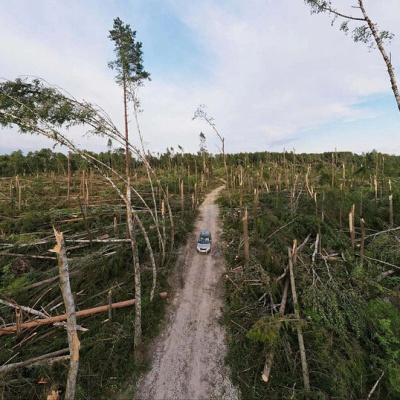 Дорога по благословению. История из приходской жизни