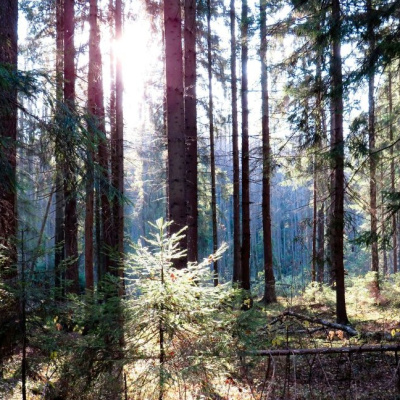 Мне 30. Как стать верующим, если вокруг атеисты?