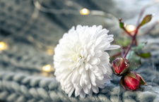 Что важно сделать в первый день нового года?