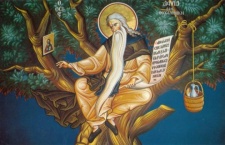 9 июля - Преподобный Давид Солунский – святой, живший на дереве 