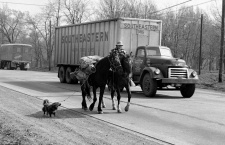 Сильнее обстоятельств: 5 примеров человеческой стойкости, которые согревают в ноябре