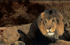 Мульткалендарь. 28 декабря – Преподобный Пард отшельник