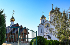 НЕДЕЛЯ 14-Я ПО ПЯТИДЕСЯТНИЦЕ