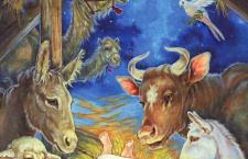 Рождественская история глазами животных