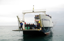 Афон или Айфон?