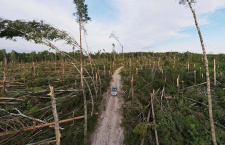 Дорога по благословению. История из приходской жизни