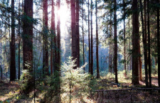 Мне 30. Как стать верующим, если вокруг атеисты?