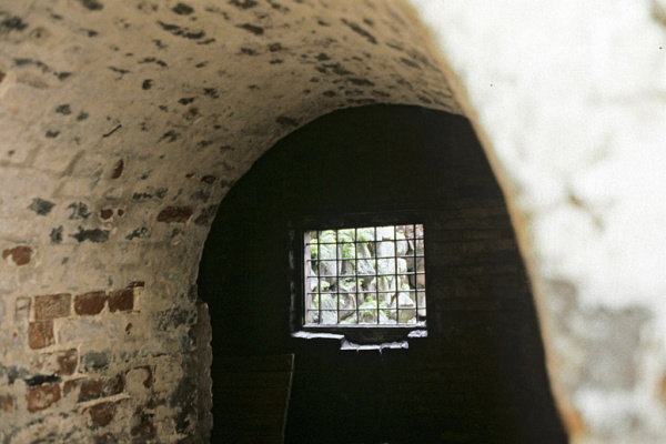 «Со Христом я или нет?» – главный вопрос новомучеников