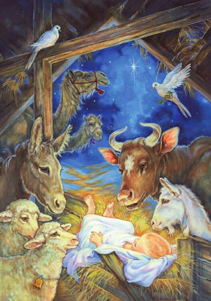 Рождественская история глазами животных