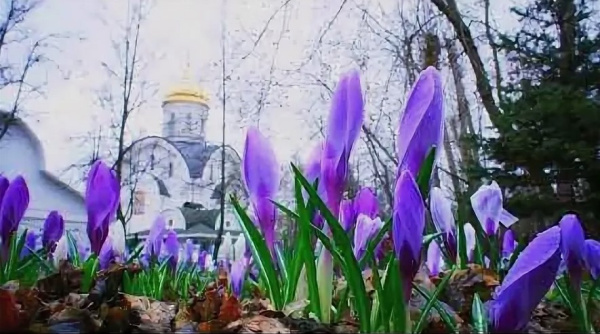 Православный календарь: март 2026 года